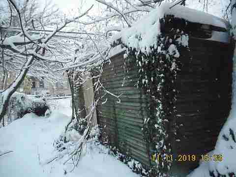 3319 Pingree (24)_m.jpg